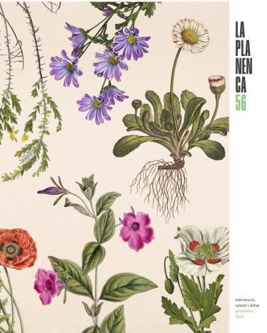 La Planenca