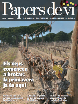 imatge portada Papers de Vi