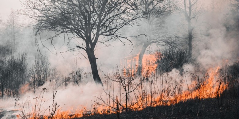 Com informar sobre els incendis forestals: guia de recursos per a periodistes